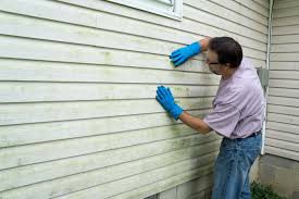 Best Storm Damage Siding Repair  in Clementon, NJ